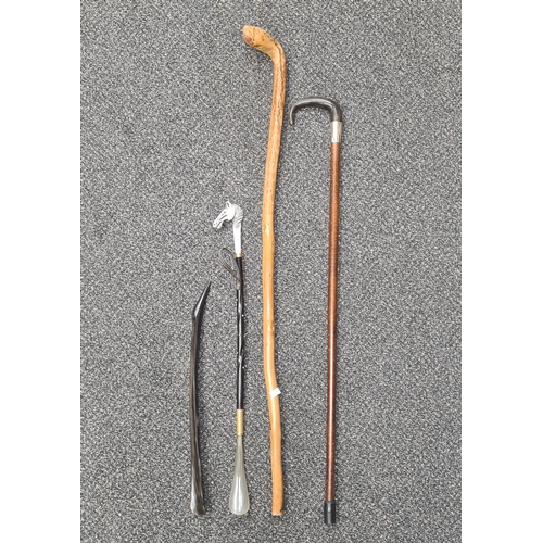 529 - Collection of 2 walking sticks and 2 shoe horns. Includes hallmarked silver collered stick and model... 