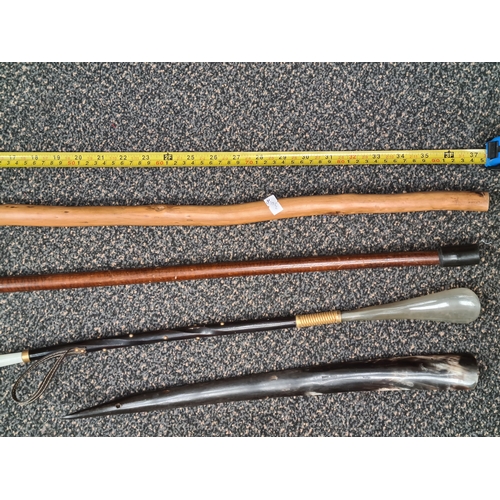 529 - Collection of 2 walking sticks and 2 shoe horns. Includes hallmarked silver collered stick and model... 