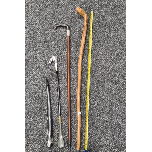 529 - Collection of 2 walking sticks and 2 shoe horns. Includes hallmarked silver collered stick and model... 