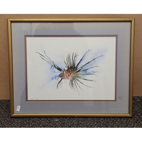 544 - Original Framed Watercolour/Gouache Lionfish Painting signed D.B Clow 1992. H37cm x 47cm