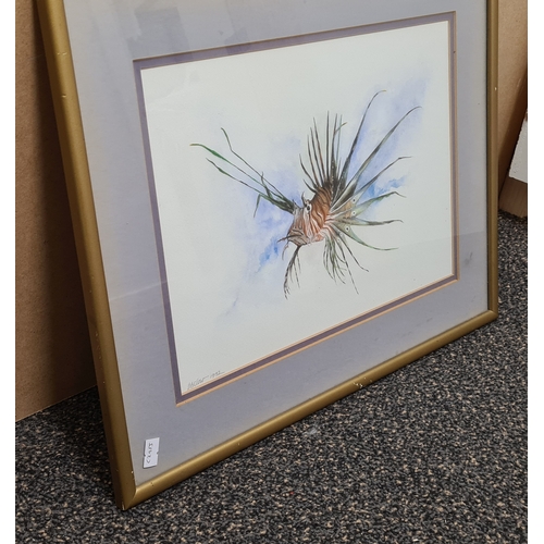 544 - Original Framed Watercolour/Gouache Lionfish Painting signed D.B Clow 1992. H37cm x 47cm