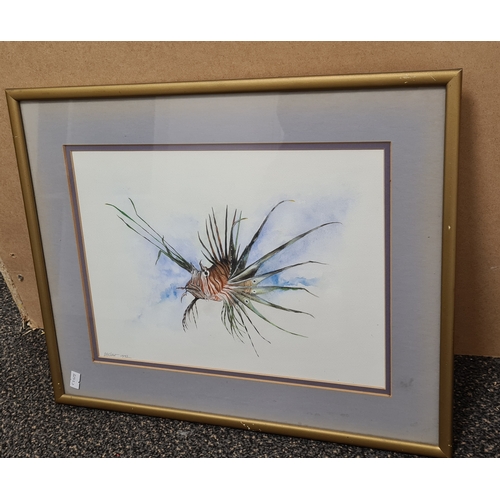 544 - Original Framed Watercolour/Gouache Lionfish Painting signed D.B Clow 1992. H37cm x 47cm