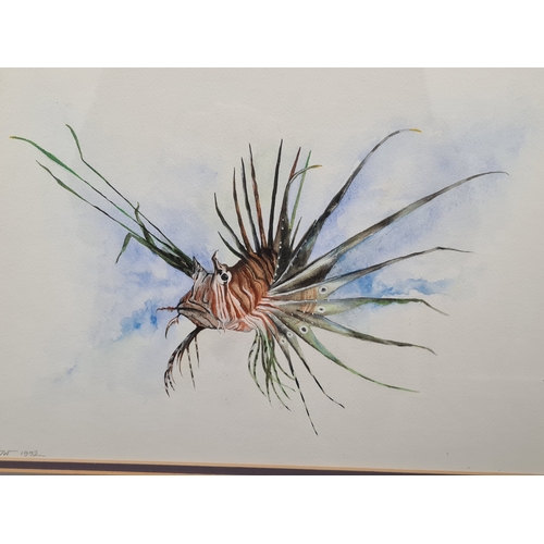 544 - Original Framed Watercolour/Gouache Lionfish Painting signed D.B Clow 1992. H37cm x 47cm