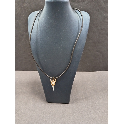 719 - Tiger tooth pendant encased in tested 9ct gold on cord chain L 40cm