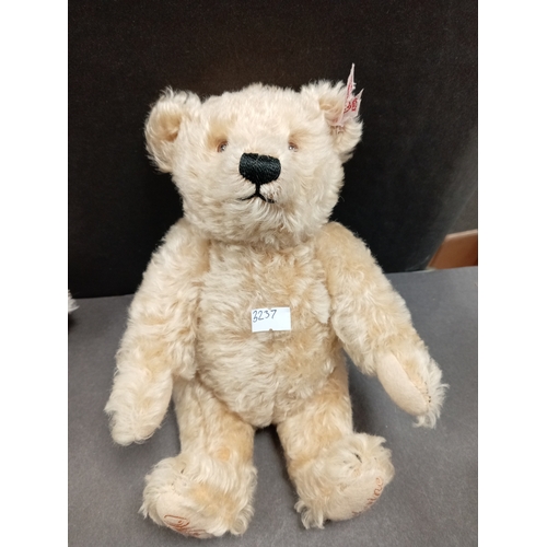 505 - Steiff Royal wedding William and Catherine mohair Teddy bear with stitched paws H 26cm x W 16cm