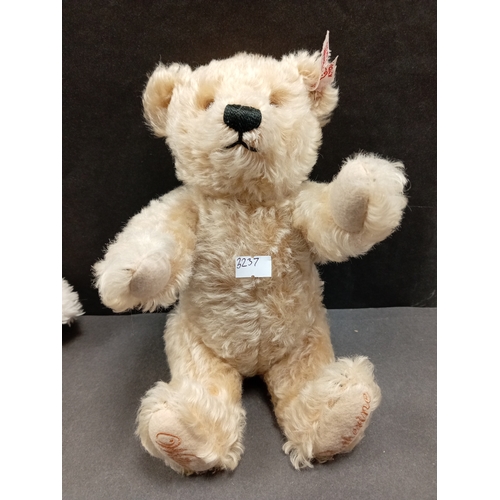 505 - Steiff Royal wedding William and Catherine mohair Teddy bear with stitched paws H 26cm x W 16cm