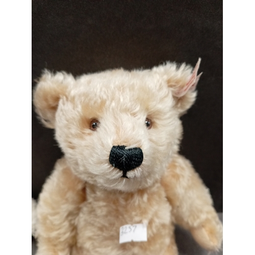 505 - Steiff Royal wedding William and Catherine mohair Teddy bear with stitched paws H 26cm x W 16cm