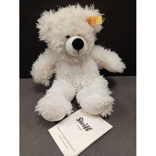 506 - Steiff Lotte Teddy bear with tag H 17cm x W 14cm