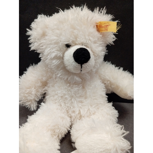 506 - Steiff Lotte Teddy bear with tag H 17cm x W 14cm