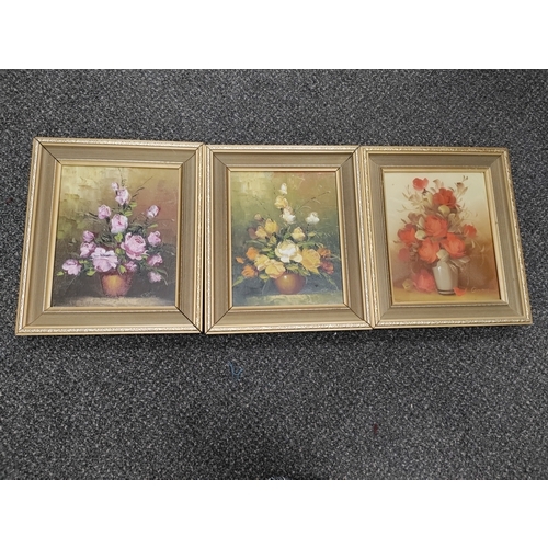 481 - A trio of matching frame signed oil paintings of flowers. Two frames need a little attention. H 34cm... 