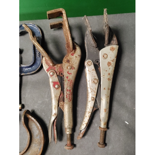 438 - A job lot of 8 clamps and a pipe cutter. Brands include Record, Monument and Malleable.