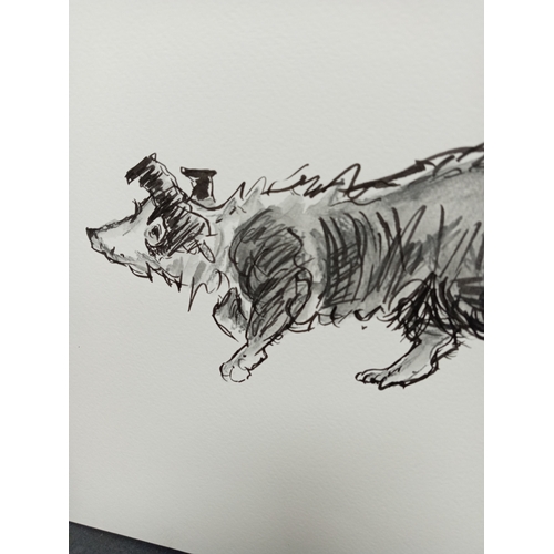 500 - Unframed pen on wash drawing of a dog. Monogrammed KW for Kyffin Williams. H 31cm x W 40cm.