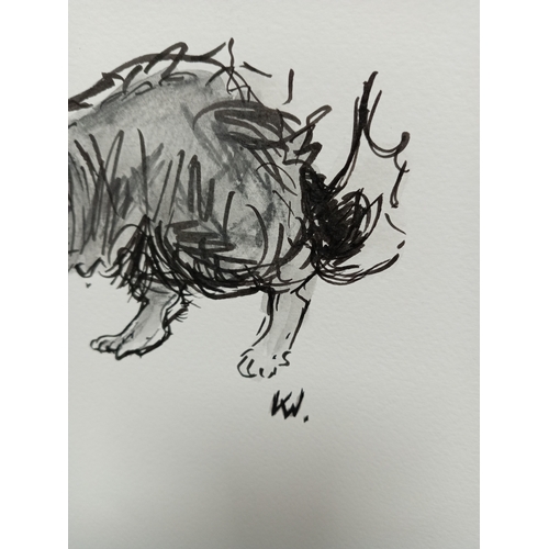 500 - Unframed pen on wash drawing of a dog. Monogrammed KW for Kyffin Williams. H 31cm x W 40cm.