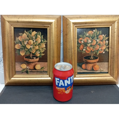 506 - Pair of decorative pictures in gold frames, one lemon and one orange tree. Both measure H28cm x W21c... 