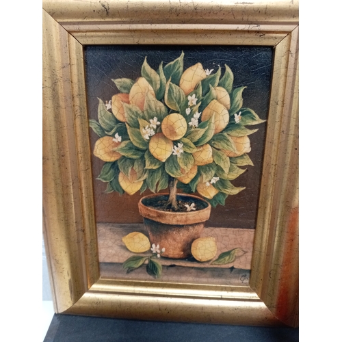 506 - Pair of decorative pictures in gold frames, one lemon and one orange tree. Both measure H28cm x W21c... 