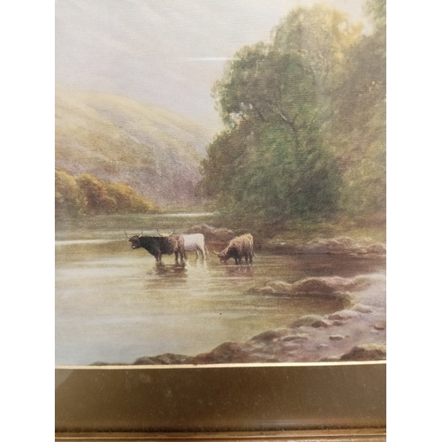 519 - Highland landscape with cattle print in an ornate frame. H 54cm x W 69cm.