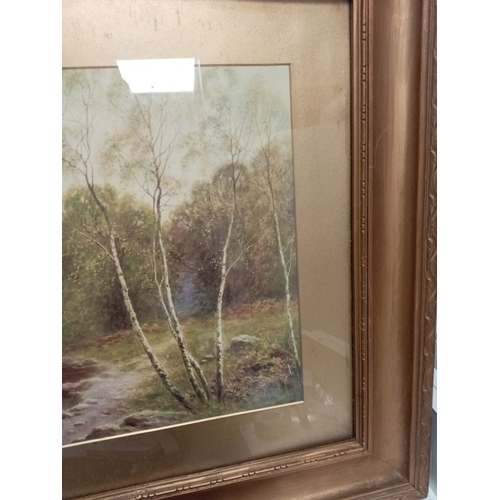 519 - Highland landscape with cattle print in an ornate frame. H 54cm x W 69cm.