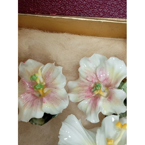 682 - Royal crown Derby China flower brooch and matching clip on earrings.