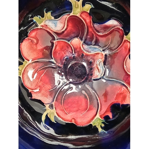 565 - Early 20th century Moorcroft pink anemone on cobalt blue ground bowl. H 5.5cm x W 11cm.