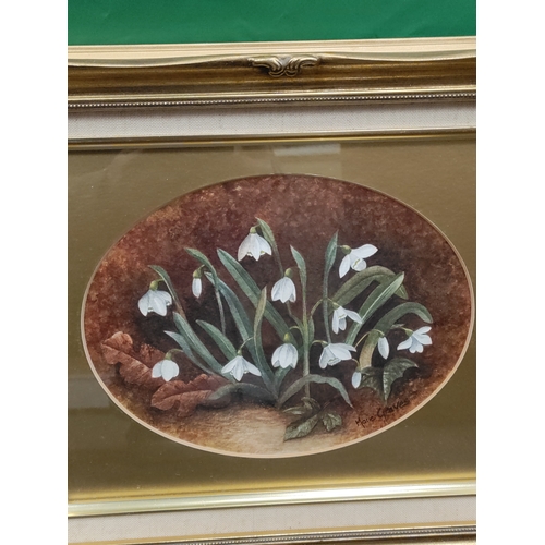 537 - A pair of signed Marie Graves watercolours of flowers. H 29cm x W 24cm.