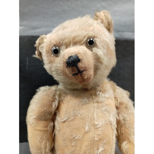 619 - Large vintage English teddy bear 1940's H 48cm x W 25cm