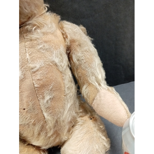 619 - Large vintage English teddy bear 1940's H 48cm x W 25cm