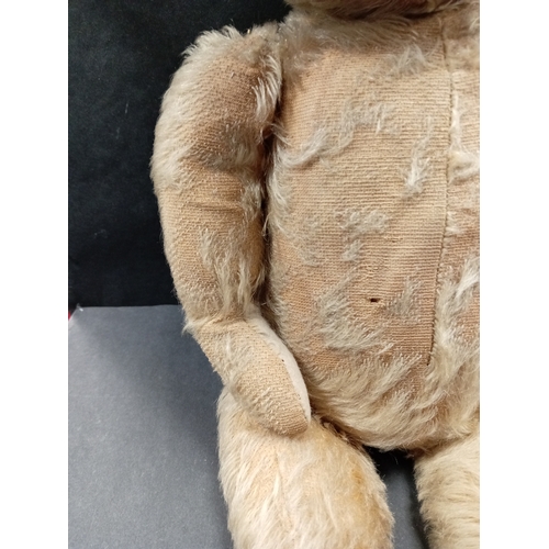 619 - Large vintage English teddy bear 1940's H 48cm x W 25cm