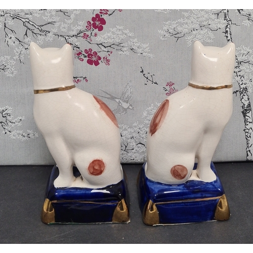 438 - Pair of white & ginger ceramic Cats with blue & gilt bases. Each measures H29cm x W10cm