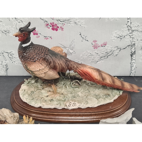 422 - Collection of 3 Italian Bird figurines to include Capodimonte: Large Pheasant signed G.A for Giusepp... 