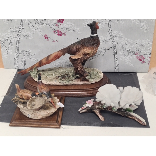 422 - Collection of 3 Italian Bird figurines to include Capodimonte: Large Pheasant signed G.A for Giusepp... 