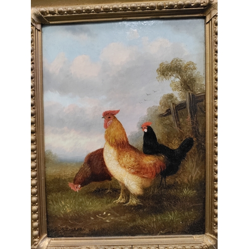 551 - An original antique oil painting signed A.Jackson of 3 chickens. Circa 1886.