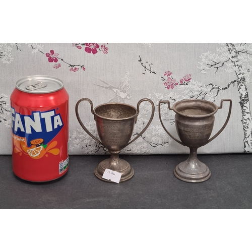 725 - One hallmarked silver small trophy cup and one small trophy cup stamped EPNS to include: Arcadian LT... 