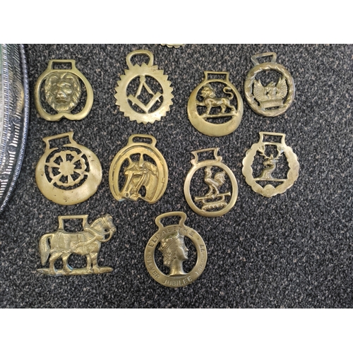 513 - A job lot of brass and a silver plated tray. Collection consists of horse brasses, teapots, an inkwe... 