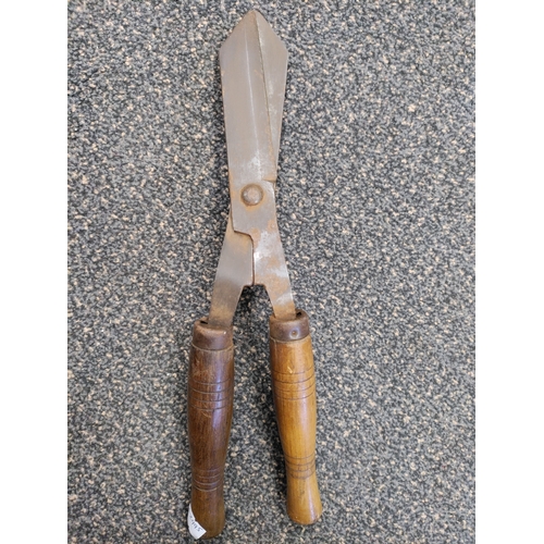 514 - A pair of Edwardian shears, made in Sheffield.