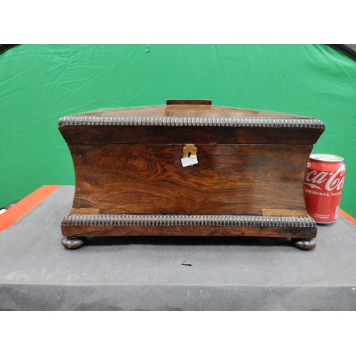 594 - Antique Regency rosewood Tea caddy/ Sarcophagus with mixing bowl.
Very slight damage on front corner... 