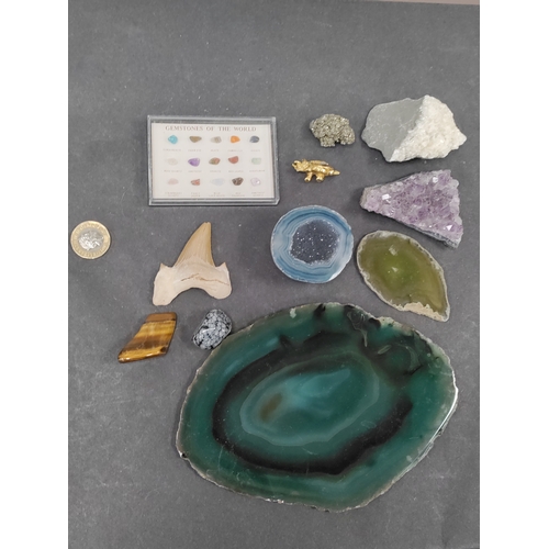 698 - A collection of crystals, geodes and a fossilized tooth. Crystals include amethyst, quartz, tiger ey... 