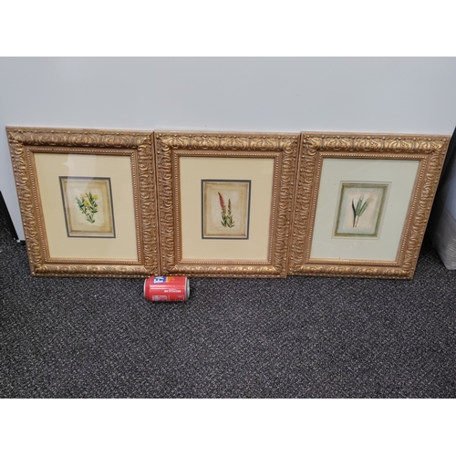 Lot 6         