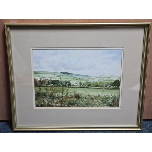 165 - Glass framed Welsh landscape Watercolour painting of Moel Famman From Llanferres, signed Alan Victor... 