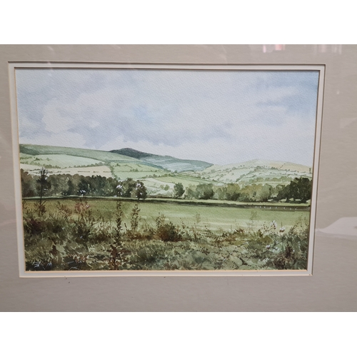 165 - Glass framed Welsh landscape Watercolour painting of Moel Famman From Llanferres, signed Alan Victor... 