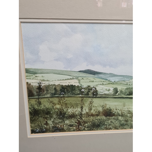 165 - Glass framed Welsh landscape Watercolour painting of Moel Famman From Llanferres, signed Alan Victor... 