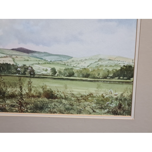 165 - Glass framed Welsh landscape Watercolour painting of Moel Famman From Llanferres, signed Alan Victor... 