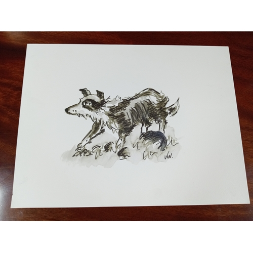 148 - An unframed pen drawing of a dog monogrammed KW thought to be Kyffin Williams. Measures 30 cm x 40 c... 