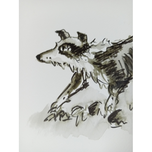 148 - An unframed pen drawing of a dog monogrammed KW thought to be Kyffin Williams. Measures 30 cm x 40 c... 