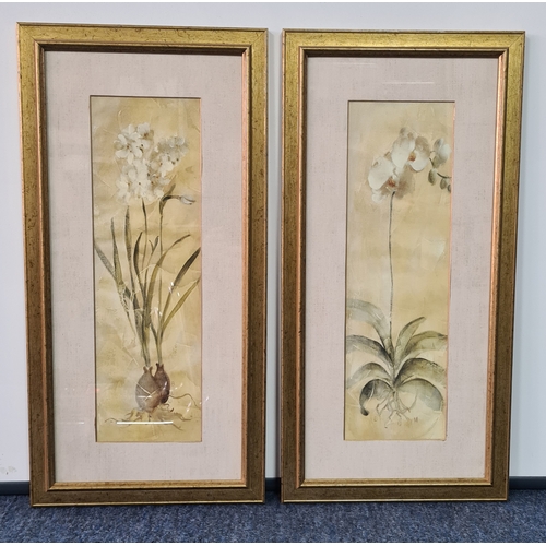 114 - A Pair of Laura Ashley rustic Botanical prints: Orchid with Bulb & Orchid with Roots. Both measure H... 