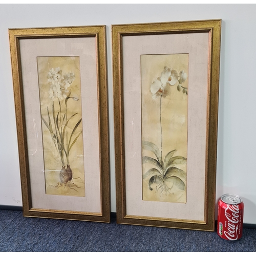 114 - A Pair of Laura Ashley rustic Botanical prints: Orchid with Bulb & Orchid with Roots. Both measure H... 