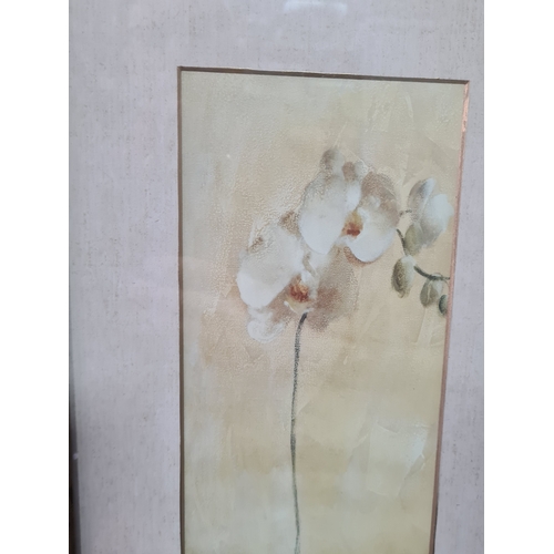 114 - A Pair of Laura Ashley rustic Botanical prints: Orchid with Bulb & Orchid with Roots. Both measure H... 