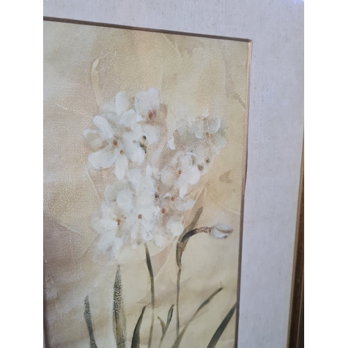 114 - A Pair of Laura Ashley rustic Botanical prints: Orchid with Bulb & Orchid with Roots. Both measure H... 