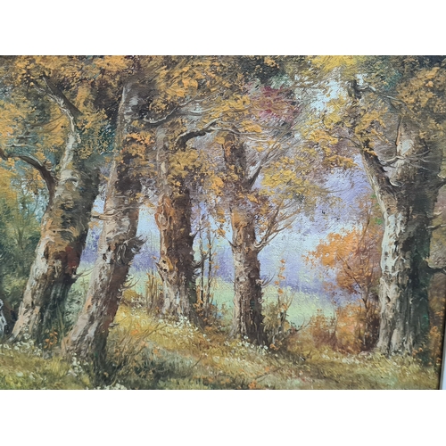 120 - Framed mid century Oil landscape painting of a autumnal woodland, signed but illegible. Measures H41... 