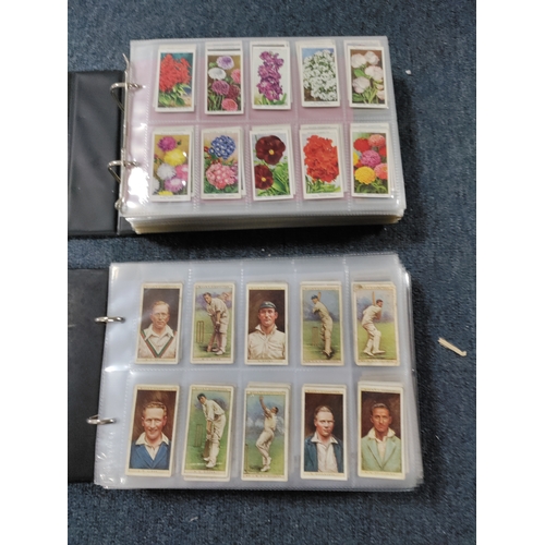 Lot 55        
