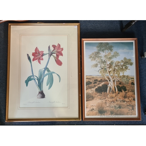 Lot 54        